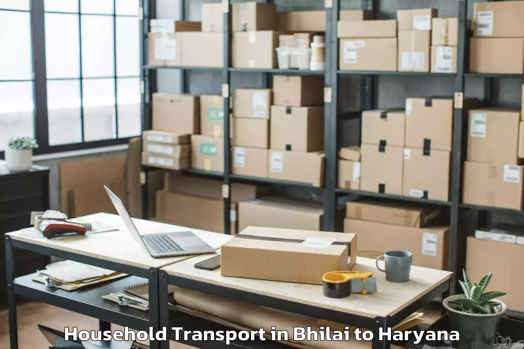 Reliable Bhilai to Shahabad Household Transport